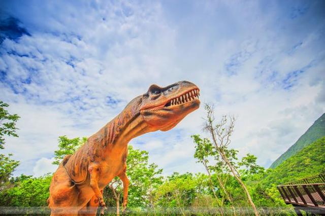 三亚,每天都是不一样的风景,展现我们性感的身子